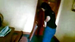 سبک اکشن داگی با روری فیلم های سوپر جوردی ناکس فریبنده از Bang!